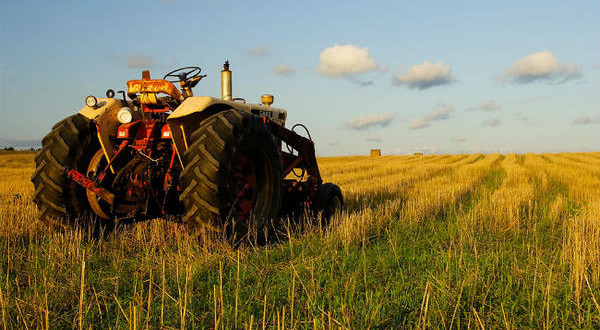 Obavijest za poljoprivredne proizvođače – rokovi za podnošenje prijava za ostvarivanje federalnih novčanih podrški